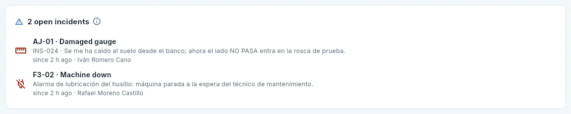Javier (Management) sees the incidents but does not resolve them.